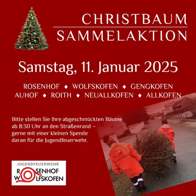 Christbaumsammeln 2025 1zu1.jpg